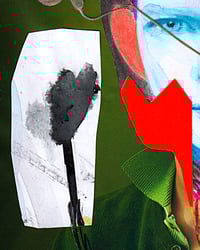 Image 3 of Collage - Tulip