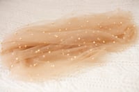 Image 2 of Brown Pearl layer 