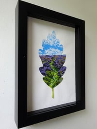 Image 4 of A Path Through Purple