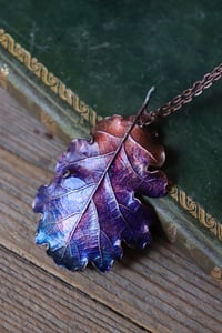 Image 3 of Vera foglia di quercia elettroformata in rame con patina viola
