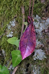 Image 2 of Vera foglia di Fotinia racchiusa nel rame con patina viola/magenta