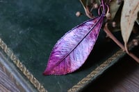 Image 3 of Vera foglia di Fotinia racchiusa nel rame con patina viola/magenta
