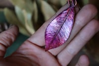 Image 1 of Vera foglia di Fotinia racchiusa nel rame con patina viola/magenta