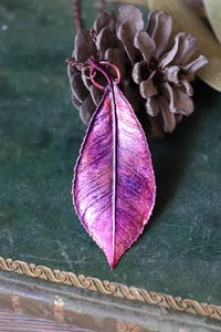 Image 4 of Vera foglia di Fotinia racchiusa nel rame con patina viola/magenta