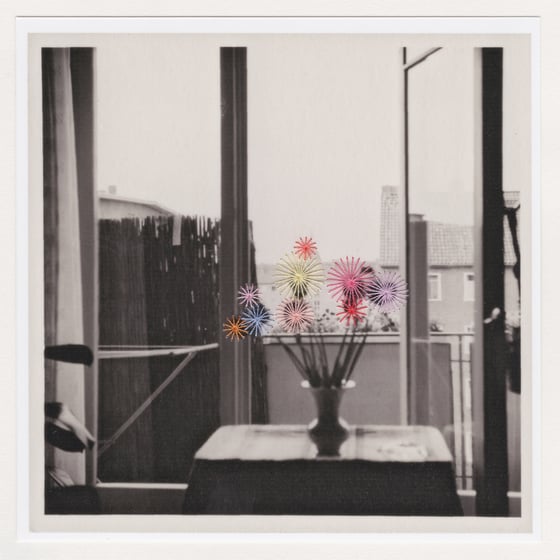 Image of THE PARTICULAR NATURE OF A FLOWER IN A GLASS
