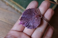 Image 2 of Vera foglia di tiglio elettroformata in rame con patina viola