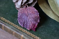 Image 1 of Vera foglia di tiglio elettroformata in rame con patina viola