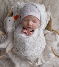 Image 2 of La Fleur Layer & Pillow Set 