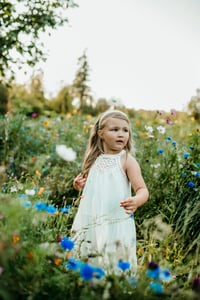 Image 4 of Wildflower Mini Sessions