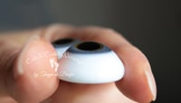 Image 3 of 24mm - German Glass Eyes - Flat Back - Economy Eyes - Blue-Gray - Large Iris