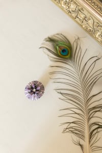 Image 3 of Colobocentrotus Atratus Violet