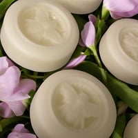 Lotion Bar  