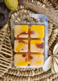 Image 5 of Luminosi TEA - A Rockytop Wax Works exclusive custom houseblend fragrance 