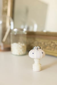Image 1 of Oursin Blanc et Bleu