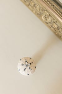 Image 2 of Oursin Blanc et Bleu