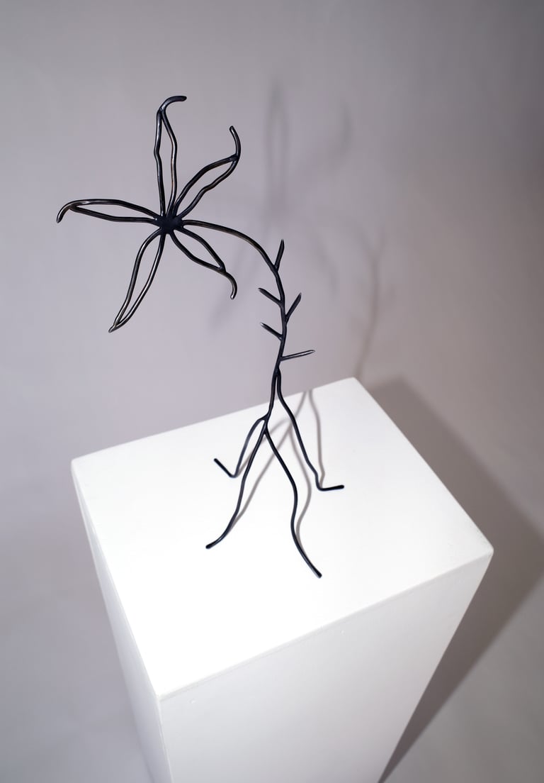 Glistening in the Moonlight of the Swamp