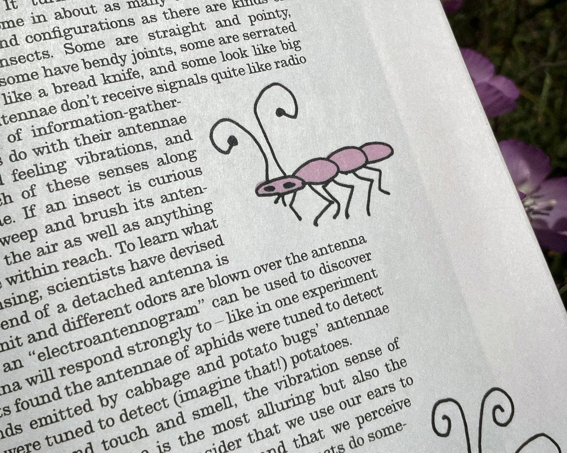 Image of BUGUE - Issue No. 3