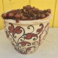 Image 1 of PL Succulent Pot