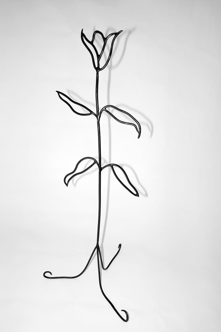 Warm Sun Pleasure, Pure and Simple!