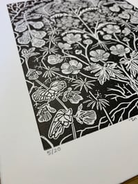 Image 2 of ‘In Bloom’ Ltd ed linocut print