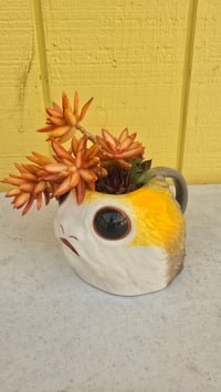 Image 2 of PL - Succulent Mug
