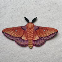 Image 1 of Spiny Oakworm Moth Leather Bookmark