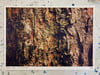 Flat Log