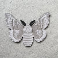 Image 1 of Silk Moth Leather Bookmark
