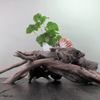 Image 1 of Sculptural Planter