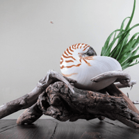 Image 2 of Sculptural Planter