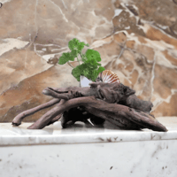 Image 3 of Sculptural Planter