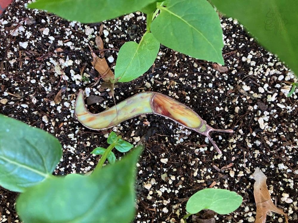 Image of Banana Slug - Lead Free Stained Glass