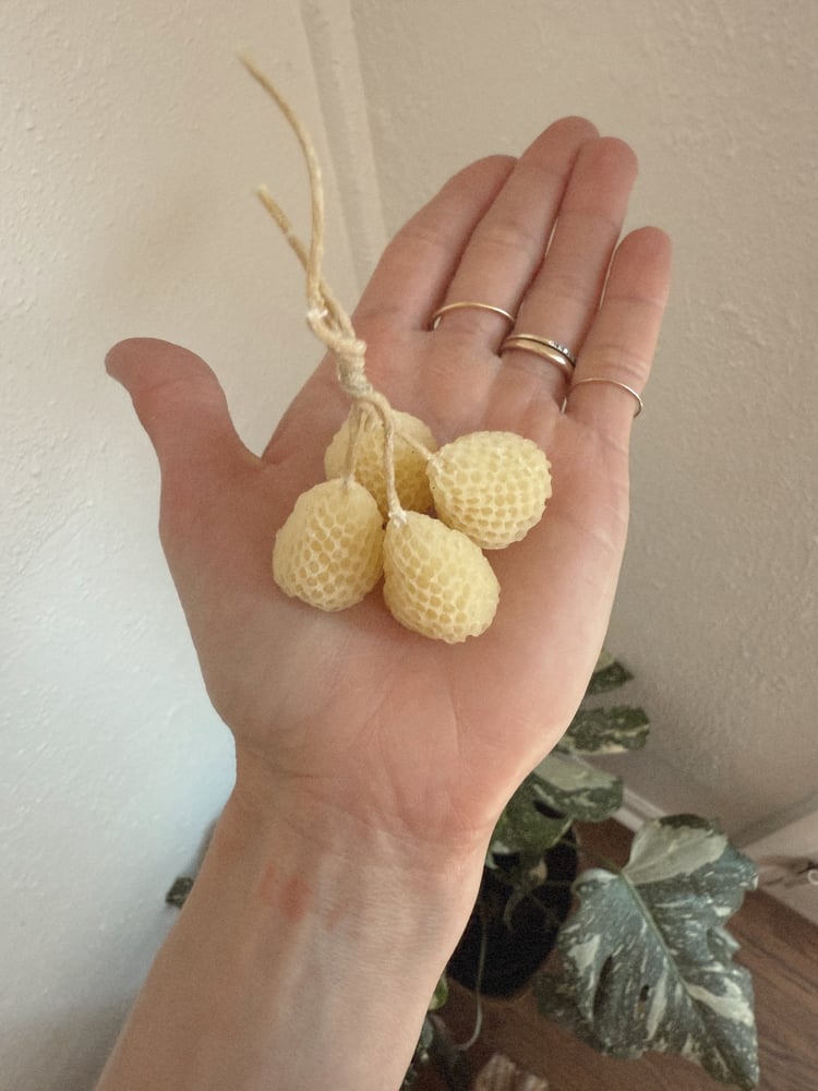 Image of Garden Variety Strawberry candles 