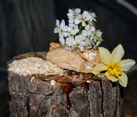 Image 4 of Maple Molasses & Honey Oats All Natural Unscented 