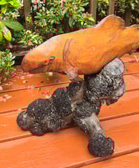 Image 2 of PL - Carved Fish on Burl