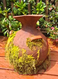 Image 1 of PL - Terra Cotta Urn