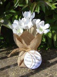 Image 3 of Rustic Flower Arrangement