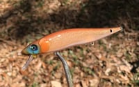 Image 4 of SPEEDBAITS Custom Airbrushed Jerkbait TA 110 BR