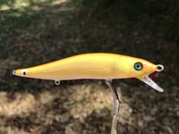 Image 5 of SPEEDBAITS Custom Airbrushed Jerkbait TA 110 BR1