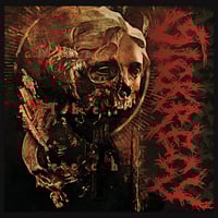 Image 1 of Distaste / Sickrecy - split 7"