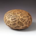 Elm Wood Carved & Burned