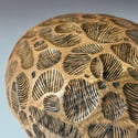 Elm Wood Carved & Burned