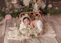 Image 4 of Newborn Mini Session's payment balance