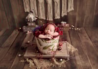 Image 5 of Newborn Mini Session's payment balance