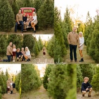 Image 2 of Red Truck HOWEY-IN-THE-HILLS Misty Mountain Christmas Tree Minis