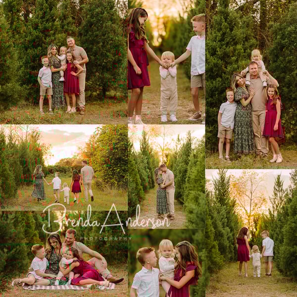 Image of HOWEY-IN-THE-HILLS Misty Mountain Christmas Tree Minis