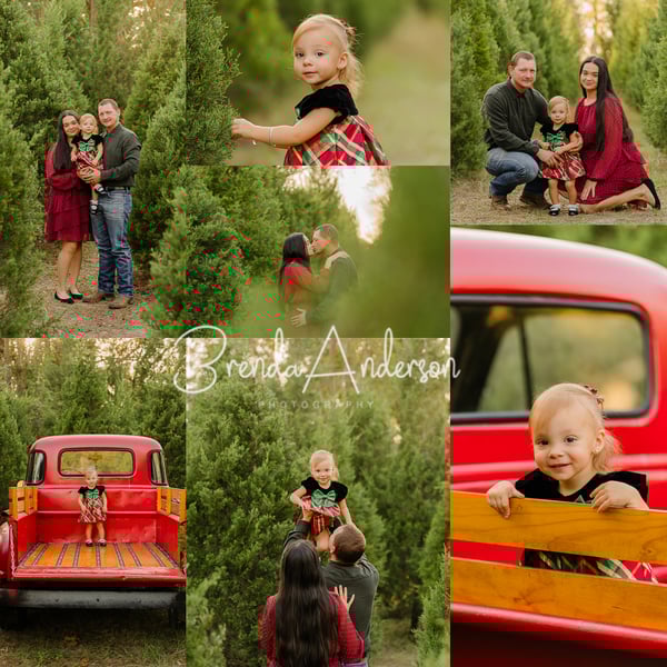 Image of HOWEY-IN-THE-HILLS Misty Mountain Christmas Tree Minis