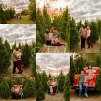 Image 1 of Red Truck HOWEY-IN-THE-HILLS Misty Mountain Christmas Tree Minis
