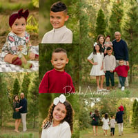 Image 2 of EUSTIS - SANTA'S FARM Christmas Tree Minis