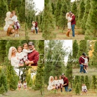 Image 1 of EUSTIS - SANTA'S FARM Christmas Tree Minis